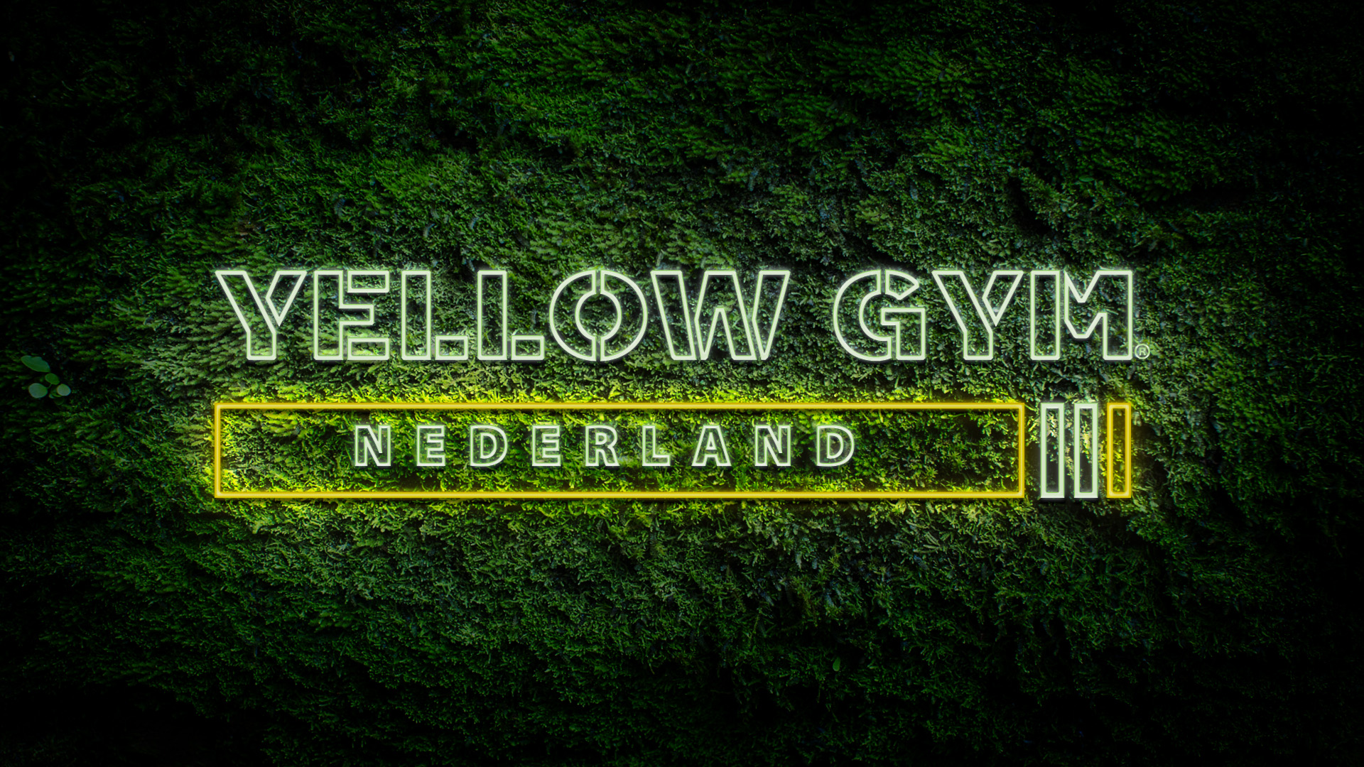 boek een personal trainer van yellow gym