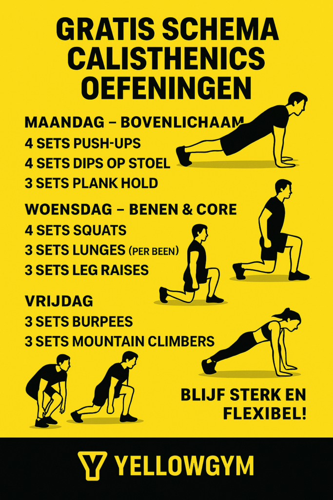 Calisthenics oefeningen schema gratis